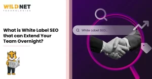 What is White Label SEO that can Extend Your Team Overnight?